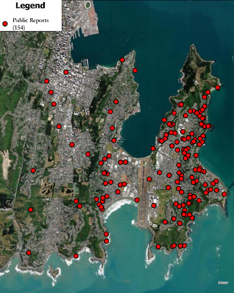 112 Miramar residents reported potential rat activity between January - September 2024.