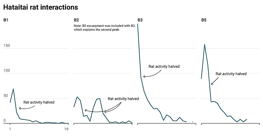 These charts illustrate the reduction of rat populations in our Hataitai zones over time, based on fortnightly services by our field team.